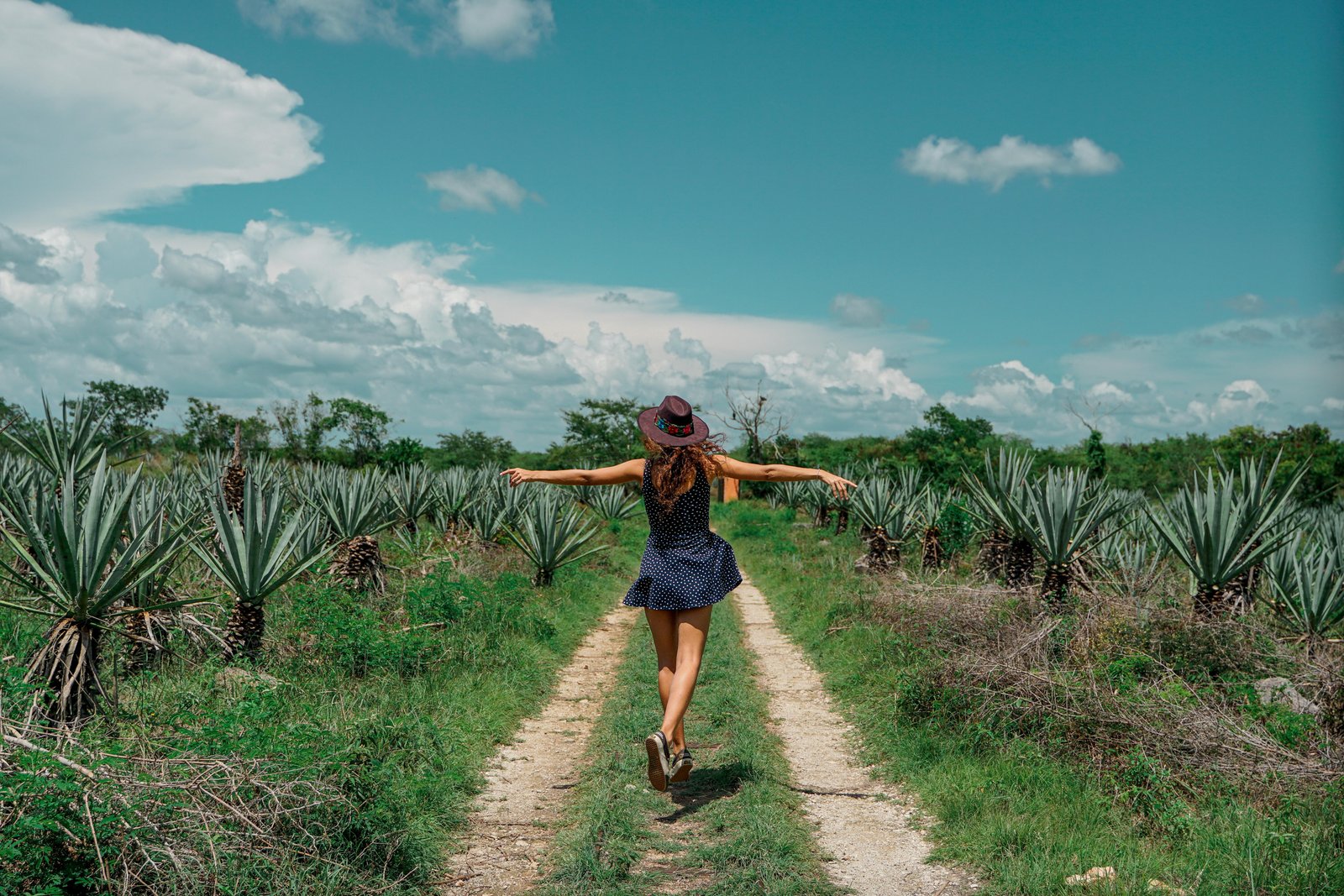 Mindfulness and female mental health